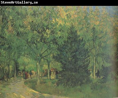 Vincent Van Gogh A Lane in the Public Garden at Arles (nn04)